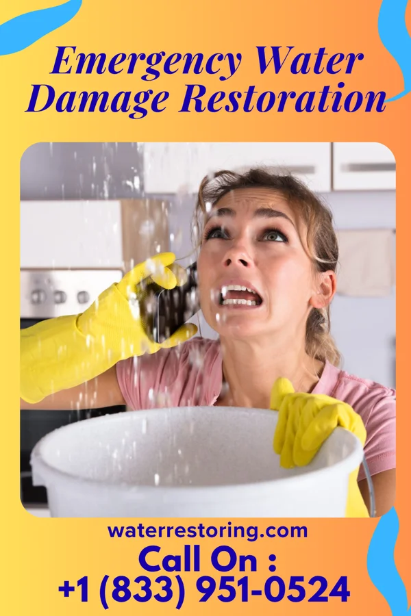 Emergency Water Damage Restoration in Santa Cruz, TX