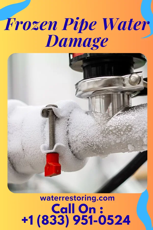 Frozen Pipe Water Damage in Santa Cruz, TX