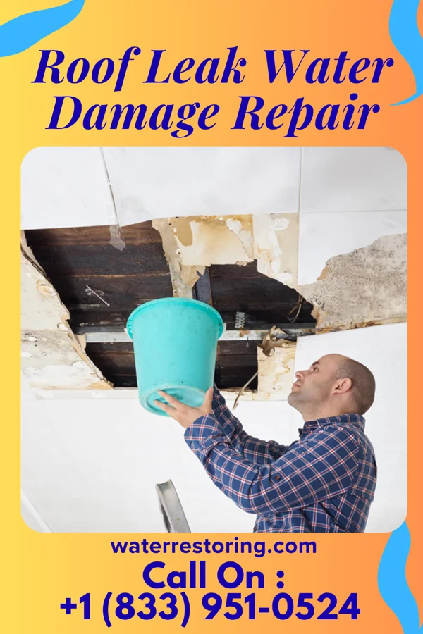 Roof Leak Water Damage Repair in Santa Cruz, TX