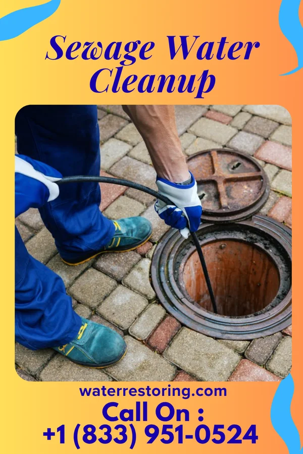Sewage Water Cleanup in Santa Cruz, TX